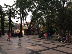 -晓港公园