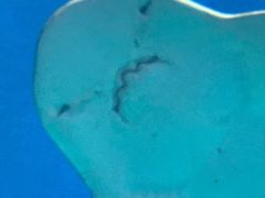 -苏州海洋馆