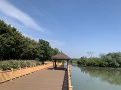 -大湾区中央湿地公园