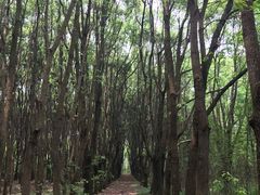-同里国家湿地公园