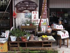 -尧坝古镇