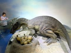 -国家自然博物馆