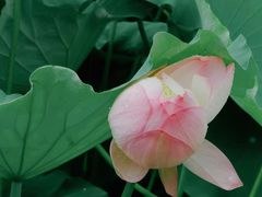 -四川大学(华西校区)