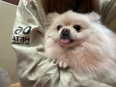 -和它·交个朋友·狗咖猫咖(爱琴海店)