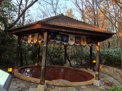 -天目湖涵田半山温泉