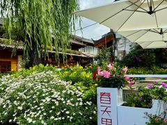 -春天里餐厅·云南创意菜特色美食(束河店)