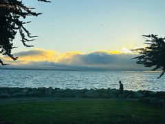 -香港东海海鲜酒家