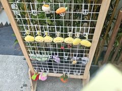 -洞庭土菜馆(天河北总店)