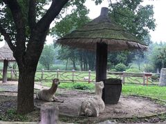 -昆山城市生态森林公园