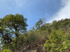 -梧桐山风景名胜区