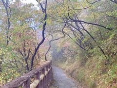 -圣莲山风景区