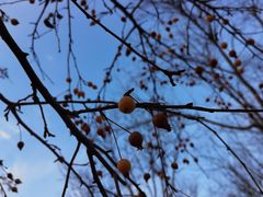 -北京国家会计学院