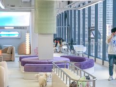 -怪兽屋·羊驼·猫咖·狗咖(俊华广场店)