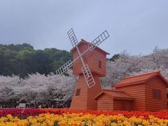 -苏州上方山国家森林公园