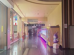 -华谊兄弟影院(IMAX洋桥店)