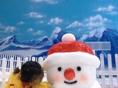 -世界之窗阿尔卑斯冰雪世界