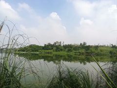 -白鹭湾湿地公园