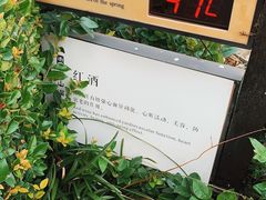 -天目湖涵田度假村