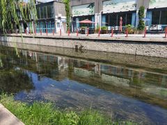 -食悦江南·淮扬菜·烤鸭(亚运村·惠新店)