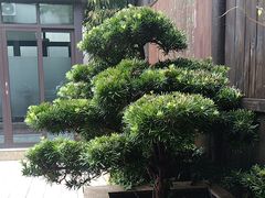 -凤竹园(修水店)