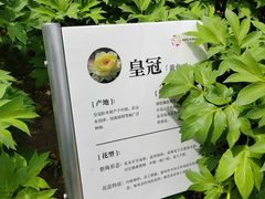 -太阳宫公园