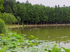 -云龙湖旅游景区