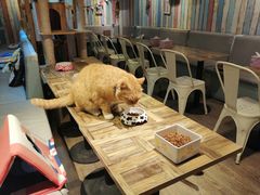 -小时光咖啡馆(开森度假森林店)
