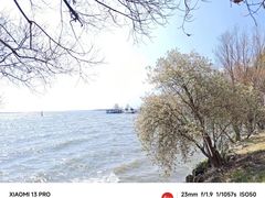 -洱海月湿地公园