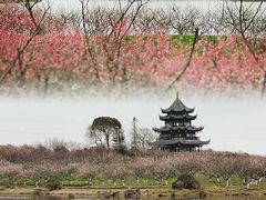 -上海海湾国家森林公园