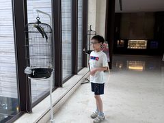 -上海崇明金茂凯悦酒店