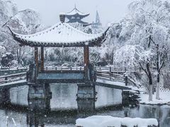 -武汉园博园(武汉自然博物馆)