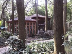 -同里国家湿地公园