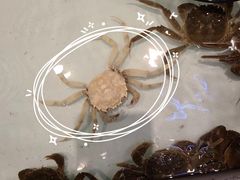 -星伦多自助料理·涮烤一体(杭州来福士店)