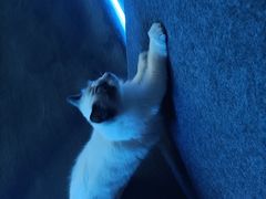 -零纪元VR体验馆·桌游(黄浦店)