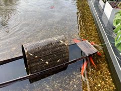 -观宴·品质赣菜(高新大道店)