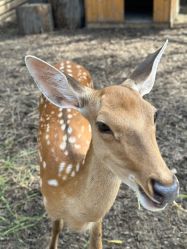 -圣露庄园·草坪婚礼·宴会厅·会议