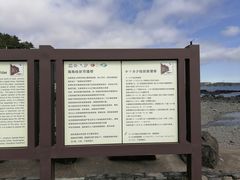 -柱状节理带