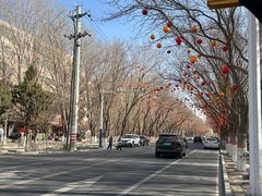 -哈密回王府景区