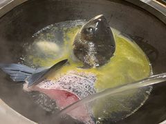 -好灶头妈妈菜·千岛湖柴火鱼餐厅(桐庐店)