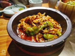 黑松露牛肝菌焖牛蛙-云海肴云南菜·蒸汽石锅鱼(北京良乡华冠店)