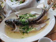 -水乡人家私房菜(逢简店)