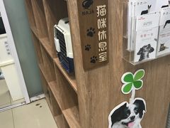 -纳吉亚猫专科动物诊疗中心(蒋宅口分院)