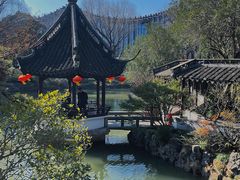 -上海醉白池公园