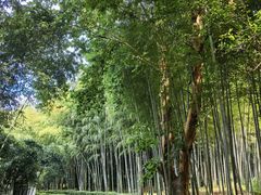 -兰亭风景区