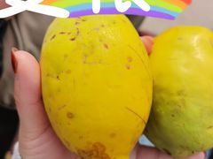 -老字号张道鸡火烧