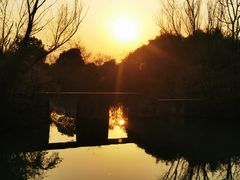 -西溪国家湿地公园