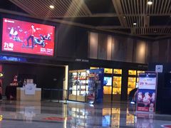 -万达影城(闵行颛桥万达广场杜比影院店)