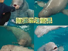 -威海华夏城景区