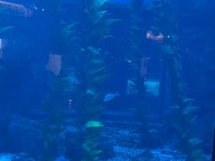-南昌融创海世界