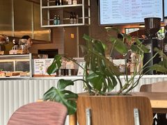 -Wagas沃歌斯(汇智店)